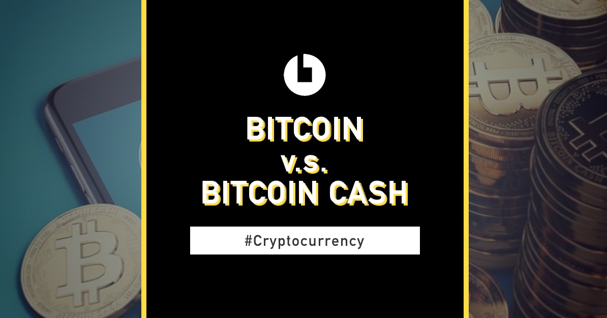 Bitcoin vs bitcoin cash